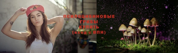 прущие крисы Баксан
