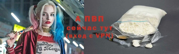 прущие крисы Баксан