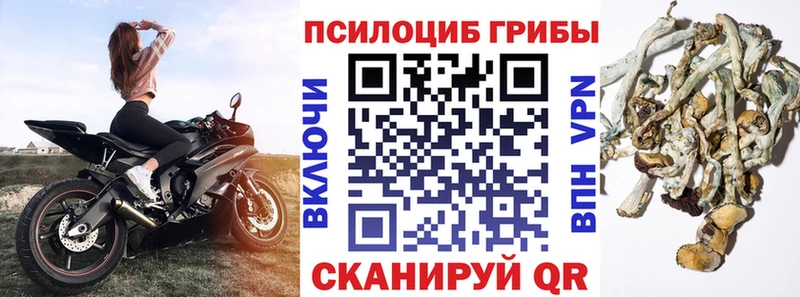 Псилоцибиновые грибы прущие грибы  Собинка 
